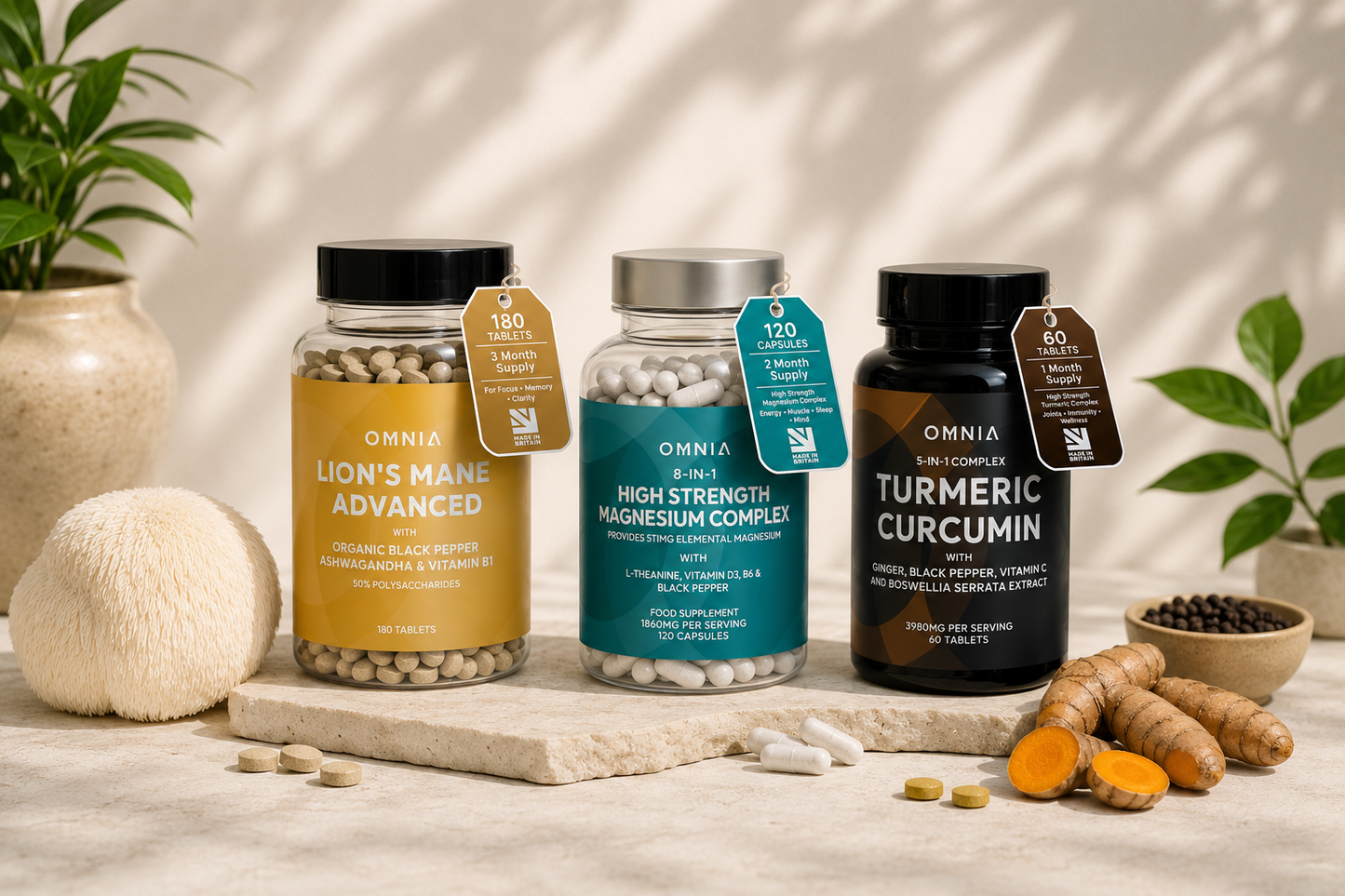 Focus & Recovery Bundle 